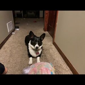 Meet your Posher, Michelle